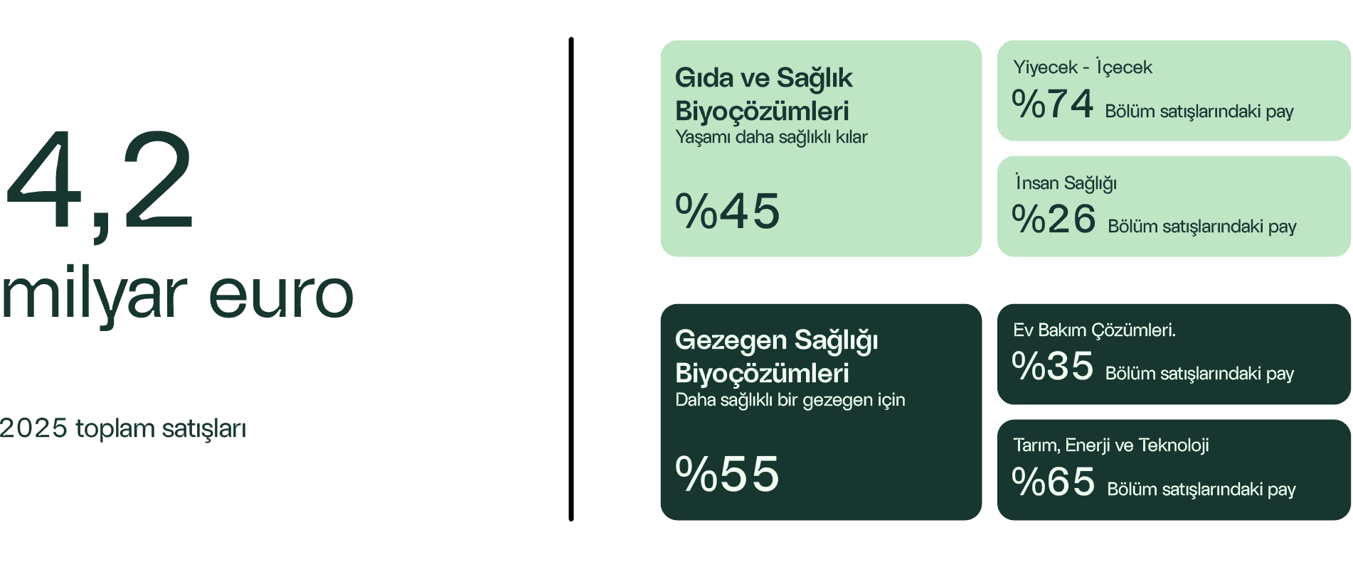 Novonesis’in 2025 toplam satışları 4,2 milyar eurodur. Satışların %45’i Gıda ve Sağlık Biyoçözümlerinden, %55’i Gezegen Sağlığı Biyoçözümlerinden oluşmaktadır. Bölüm satışlarında Gıda ve İçeceklerin payı %74, İnsan Sağlığının payı %26; Ev Bakımının payı %35, Tarım, Enerji ve Teknolojinin payı ise %65’tir.